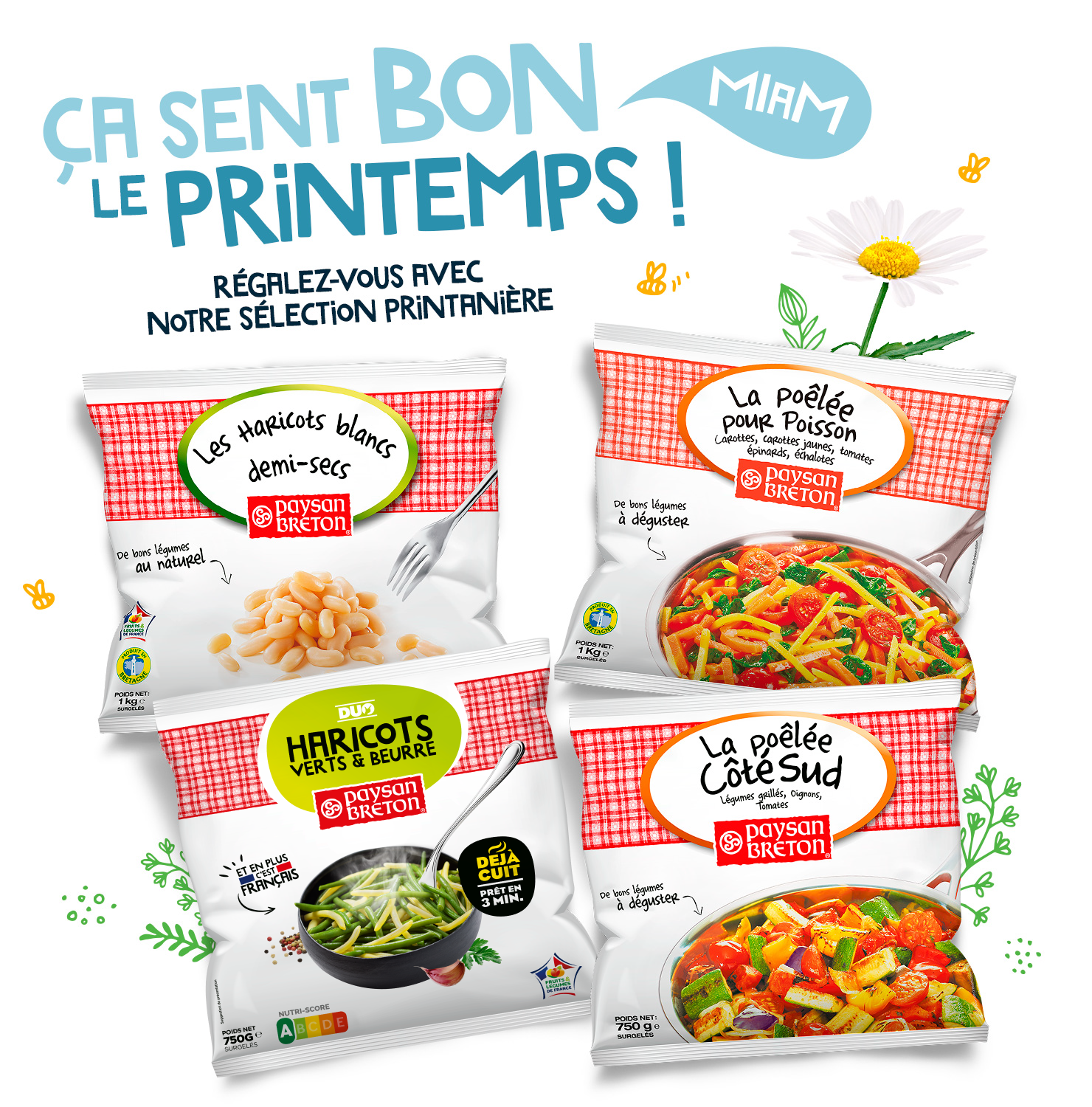 jeu concours printemps companion XL