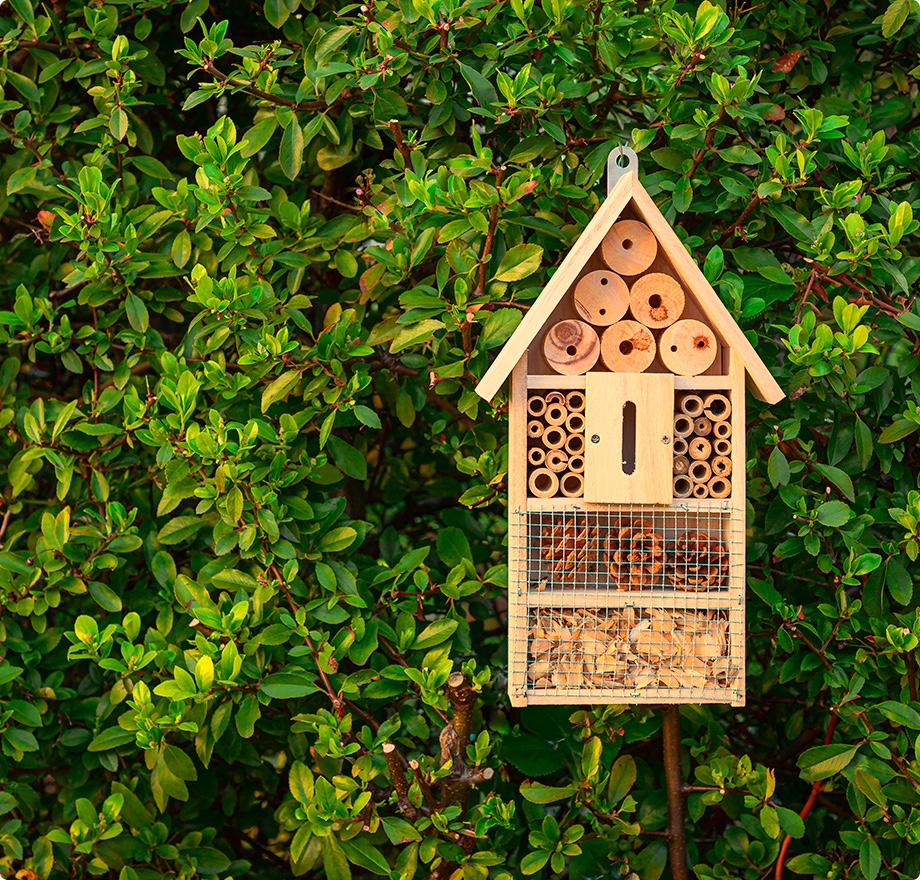 Hôtel à insectes